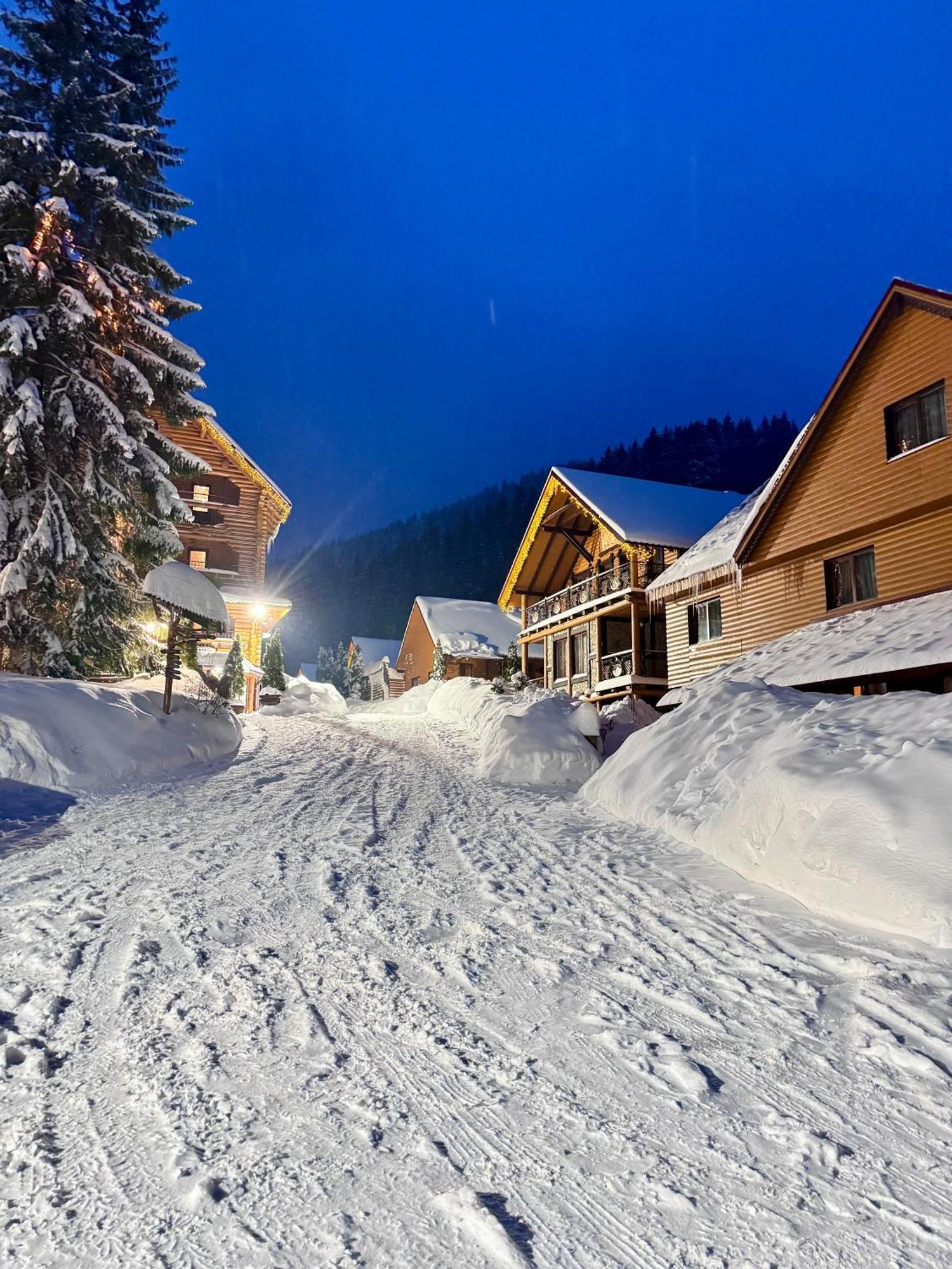 Арніка Synevyrsʼka Polyana Exterior foto