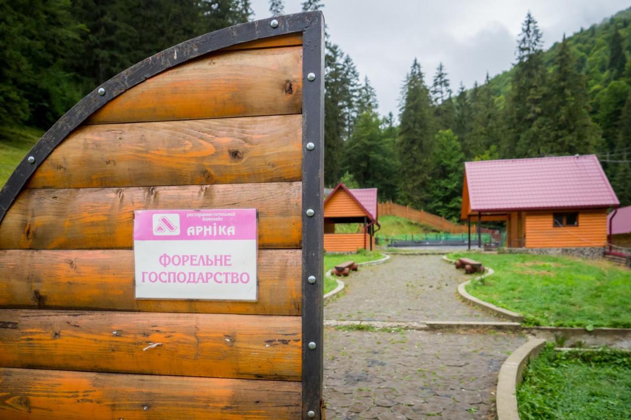 Арніка Synevyrsʼka Polyana Exterior foto